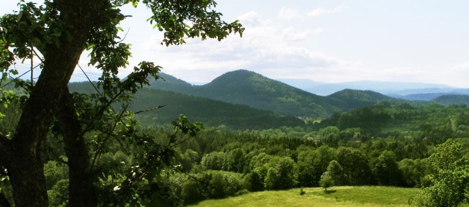 Miedzianka